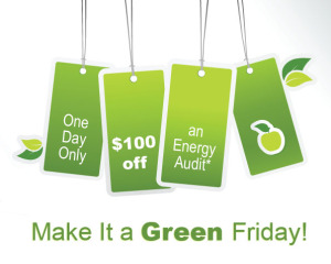 One Day Sale: Make Black Friday Green Friday Instead